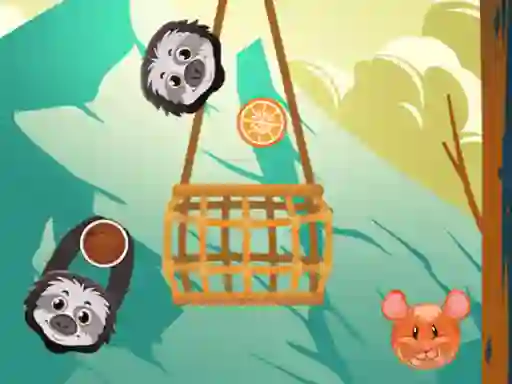 Игра Slings To The Basket онлајн