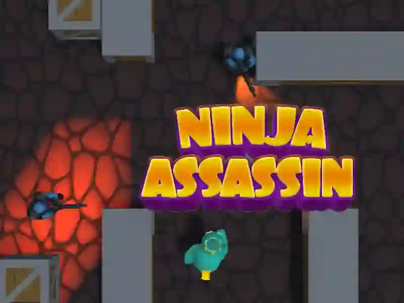 Игра Ninja Assassin онлајн