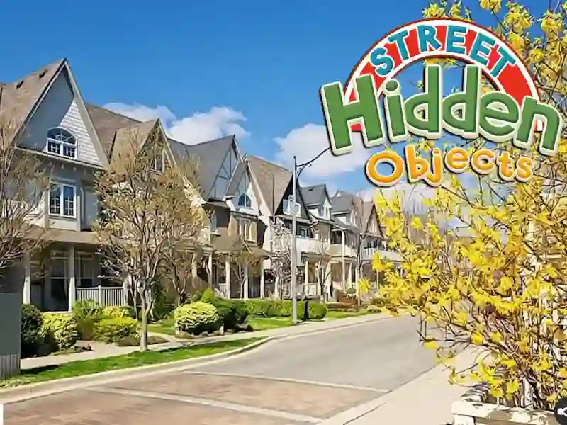 Игра Street Hidden Objects онлајн