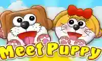 Игра Meet Puppy онлајн