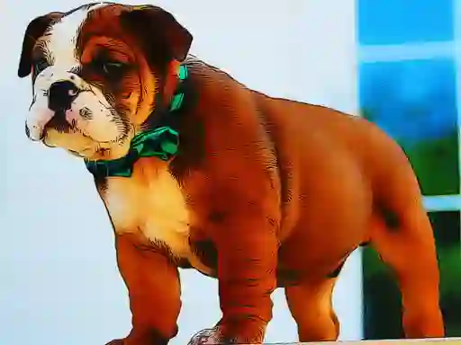 Игра Bulldog Puppy Puzzle онлајн