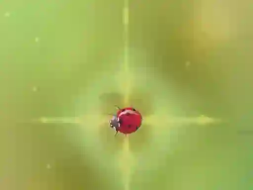 Игра Pest Control онлајн