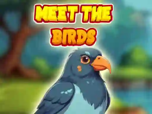 Игра Meet The Birds онлајн