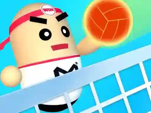 Игра 3D Amazing VolleyBall онлајн