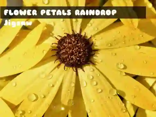 Игра Flower Petals Raindrop Jigsaw онлајн