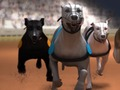 Игра Greyhound трки  онлајн