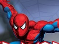 Игра Spider воинот  онлајн
