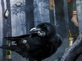 Игра Плашлив страшна куќа  онлајн