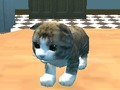 Игра Кат симулатор: Кити занает!  онлајн