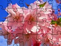 Игра Сложувалка: Цвеќиња  онлајн