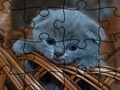 Игра Сложувалка: мачки  онлајн