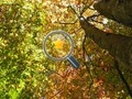 Игра Скриени златни ѕвезди  онлајн
