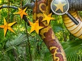 Игра Џунгла скриени ѕвезди  онлајн