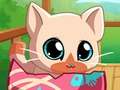Игра Мојот џеб миленичиња Кити Кат  онлајн
