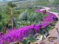 Игра Патека што исчезнува  онлајн