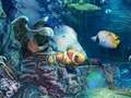 Игра Потонато злато  онлајн