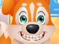 Игра Симпатична кутре стоматолог  онлајн