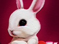Игра Назад на училиште: Книга за боење на зајаци  онлајн