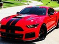Игра Различни разлики во мустангот  онлајн