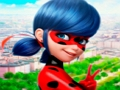 Игра Колекција сложувалка LadyBug  онлајн