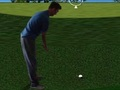 Игра Flash Golf 3D  онлајн
