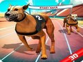 Игра Трка на луди кучиња  онлајн