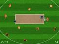 Игра Quicket онлајн