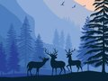 Игра Скриен рај за пејзаж  онлајн