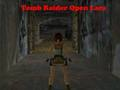 Игра Tomb Raider Open Лара  онлајн