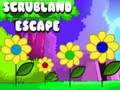 Игра Scrubland бегство  онлајн