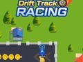 Игра Лебдат патека Трки  онлајн
