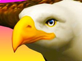 Игра Возење со орел  онлајн