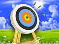 Игра Стрелец мајстор  онлајн