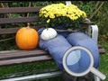 Игра Есенска градина Најдете 100 пеперутки  онлајн