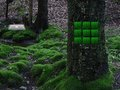 Игра Заробена љубов гулаб Бегство  онлајн