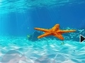 Игра Бегство од подводни морски ѕвезди  онлајн