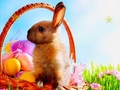 Игра Скриени ѕвезди од Велигденско време  онлајн