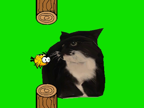 Игра Flappy Bird што се врти oia oia мачка  онлајн