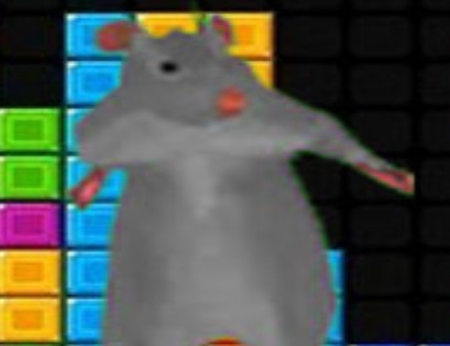 Игра Клокови што паѓаат на Ratomilton  онлајн